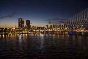 SEO in Rotterdam door specialist